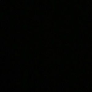 Meet your Posher, Sadie